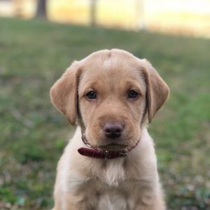 Meet your Posher, Kelli